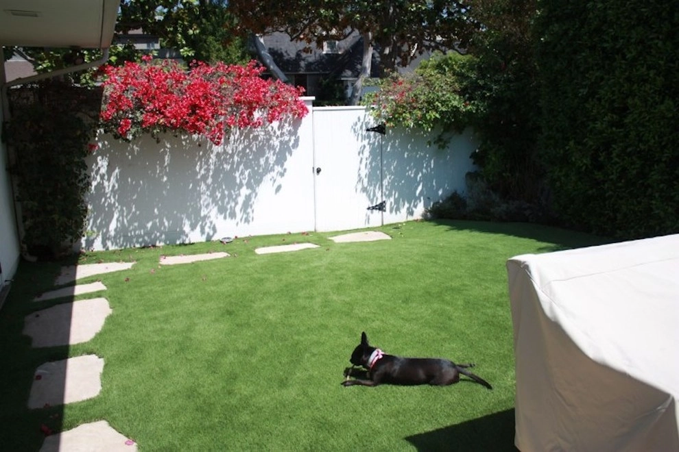 Artificial Grass for Pets by Westside Lawns, Inc. - Photo 2