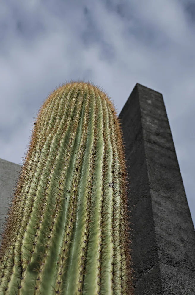 Lava House in Tucson Mountains by Paul Weiner | DesignBuild Collaborative - Photo 20