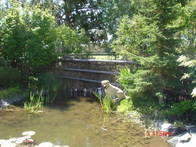 Tumalo Ranch Water Storage Pond by Neal Huston & Associates - Photo 12