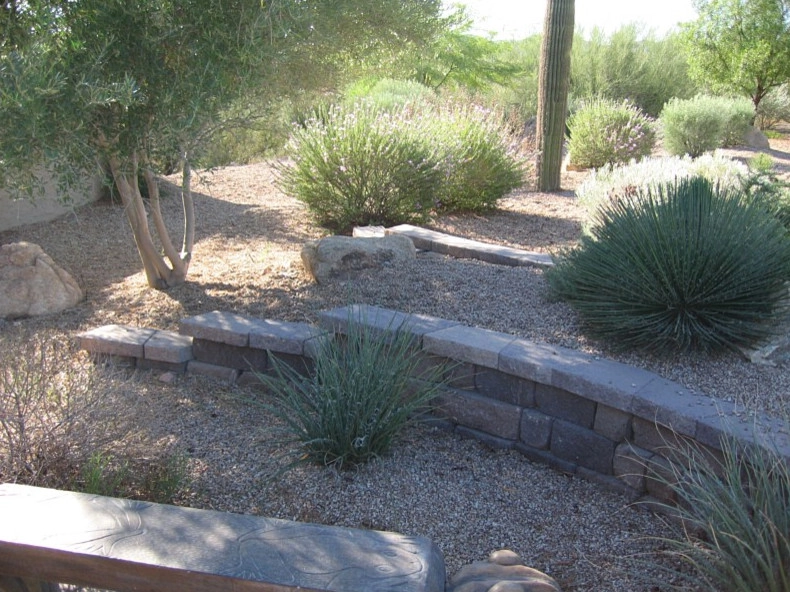 Wickenburg Landscape & Irrigation Inc - Photo 9