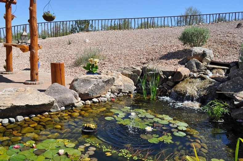 Wickenburg Landscape & Irrigation Inc - Photo 4