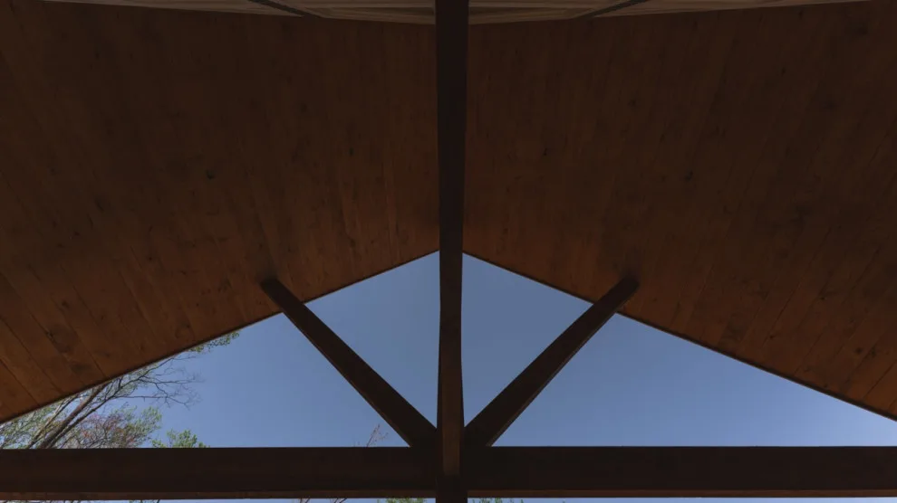 TWISTED TREE by Reynard Custom Homes - Photo 16