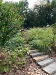 Mr.Tyson Davidson NC by Wilson's Natural Landscaping, LLC - Photo 33