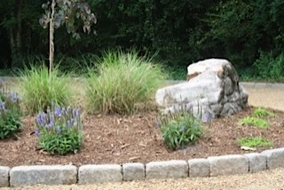 Wilson's Natural Landscaping, LLC - Photo 10