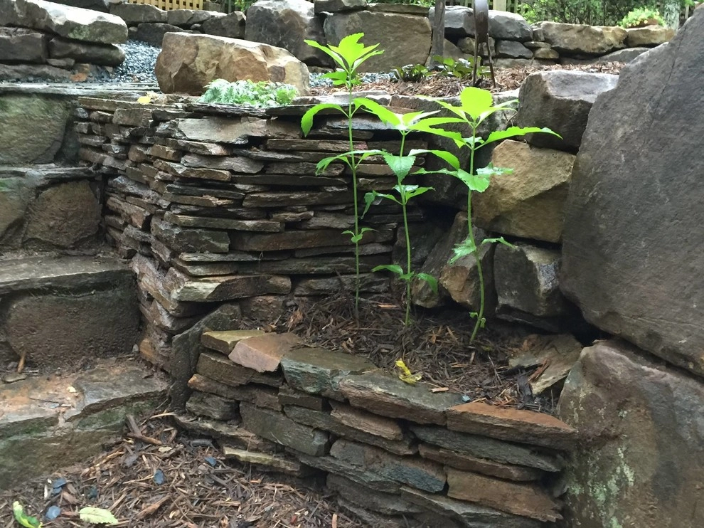 Natural Carolina Mountain Stone Creation by Wilson's Natural Landscaping, LLC - Photo 14