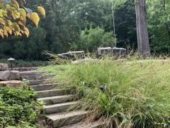 Mr.Tyson Davidson NC by Wilson's Natural Landscaping, LLC - Photo 6