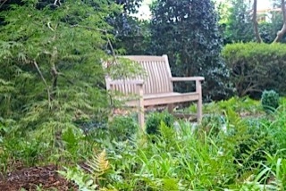RECENT PROJECT by Wilson's Natural Landscaping, LLC - Photo 5