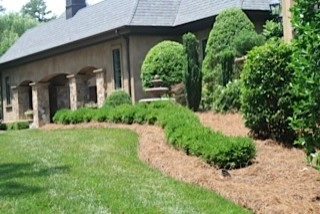 Tranquility by Wilson's Natural Landscaping, LLC - Photo 3