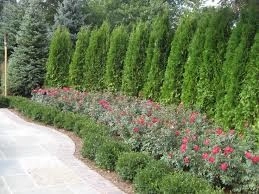 Wilson's Natural Landscaping, LLC - Photo 5