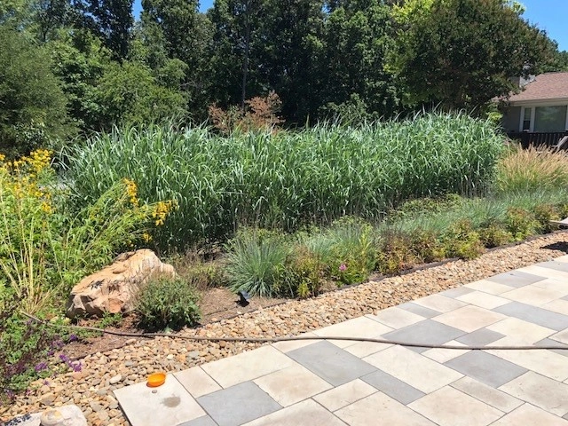 Native and Pollinators by Wilson's Natural Landscaping, LLC - Photo 5