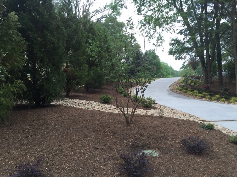 Mr.Tyson Davidson NC by Wilson's Natural Landscaping, LLC - Photo 4