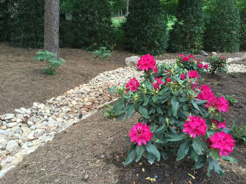 Mr.Tyson Davidson NC by Wilson's Natural Landscaping, LLC - Photo 28
