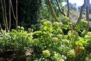 RECENT PROJECT by Wilson's Natural Landscaping, LLC - Photo 3