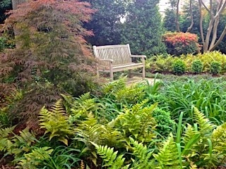 RECENT PROJECT by Wilson's Natural Landscaping, LLC - Photo 2