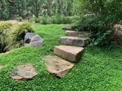 Mr.Tyson Davidson NC by Wilson's Natural Landscaping, LLC - Photo 30