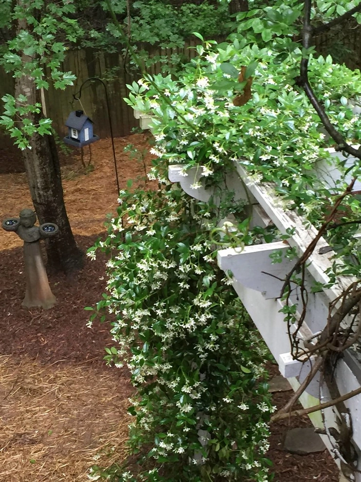 Natural Carolina Mountain Stone Creation by Wilson's Natural Landscaping, LLC - Photo 15