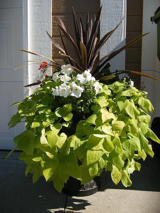 Winkler's Lawn Care & Landscape - Photo 6