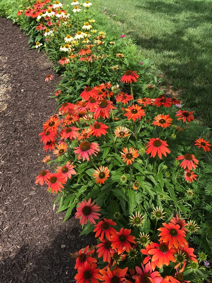 Moongate perennial garden by Winland's Complete Landscaping Service - Photo 2