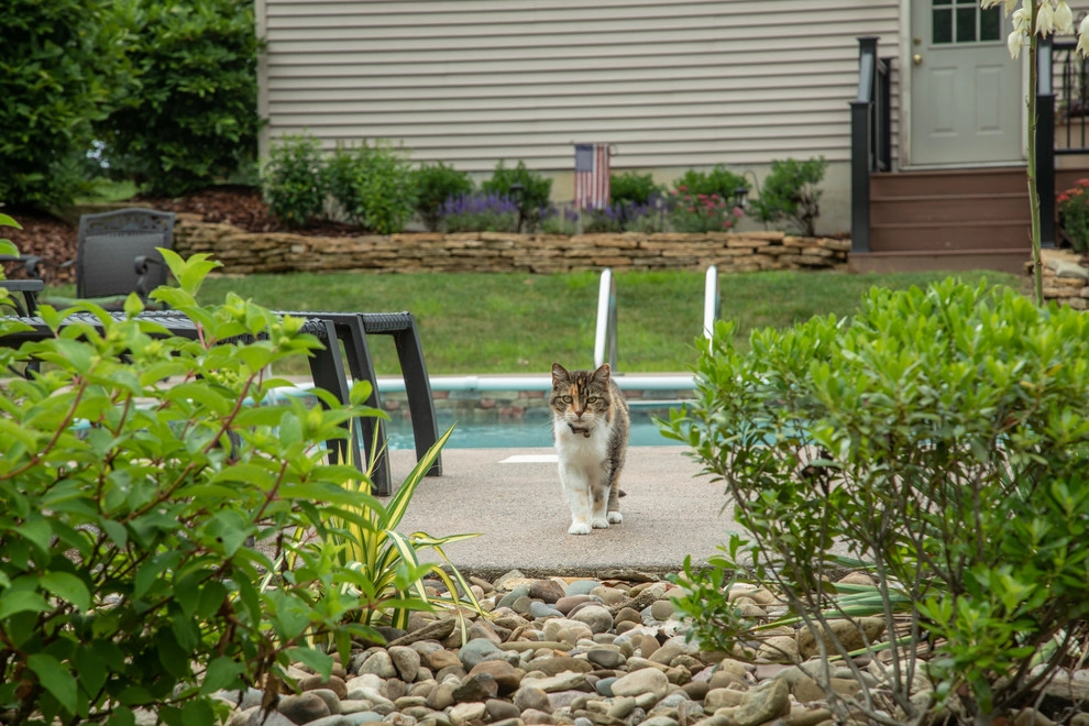 Winland's Complete Landscaping Service - Photo 5