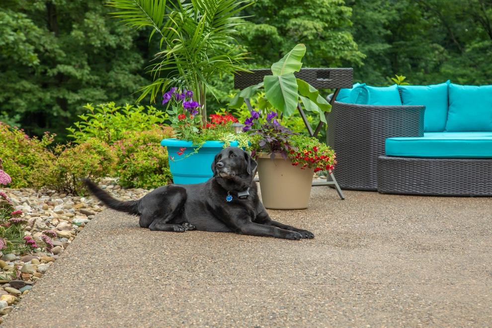 Poolside Patio by Winland's Complete Landscaping Service - Photo 10