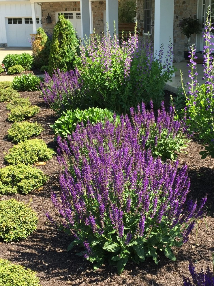 Craftsman Home with perennial gardens by Winland's Complete Landscaping Service - Photo 11