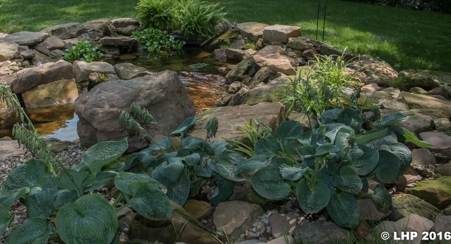 Woodland Stream & Pond by Winland's Complete Landscaping Service - Photo 7