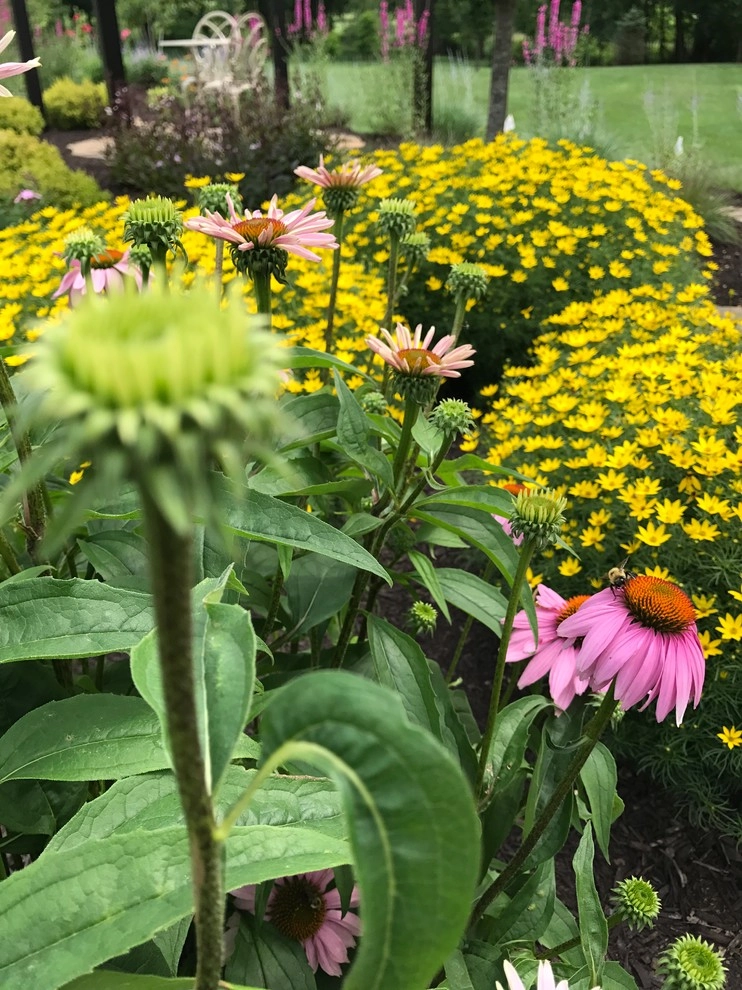 Moongate perennial garden by Winland's Complete Landscaping Service - Photo 4