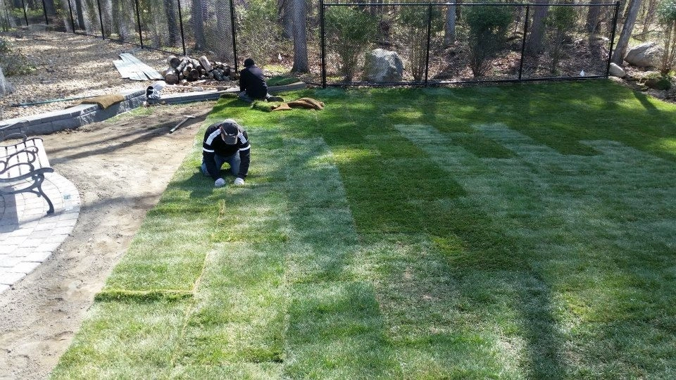 WJ Smallwood Landscaping & Lighting - Photo 14