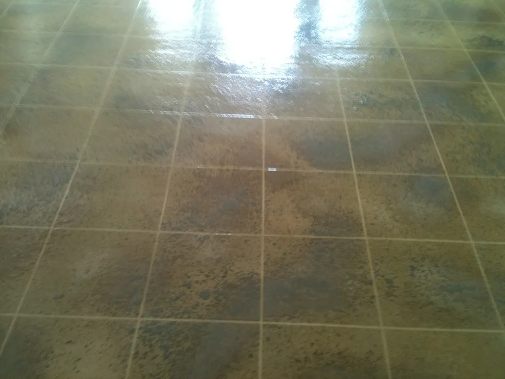 Textured Spray Concrete Coating by Elite Concrete Design - Photo 5