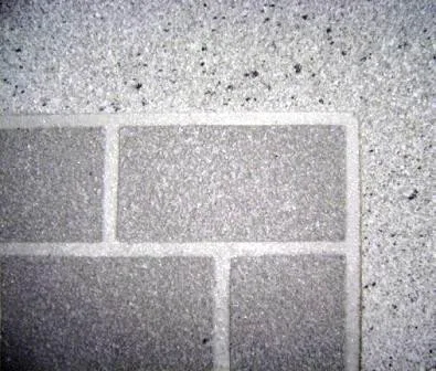 Textured Spray Concrete Coating by Elite Concrete Design - Photo 29