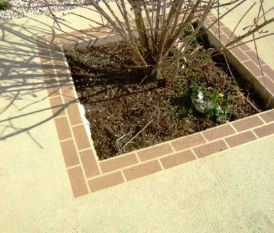Paved Pathways with Spray Texture Edging by Elite Concrete Design - Photo 5