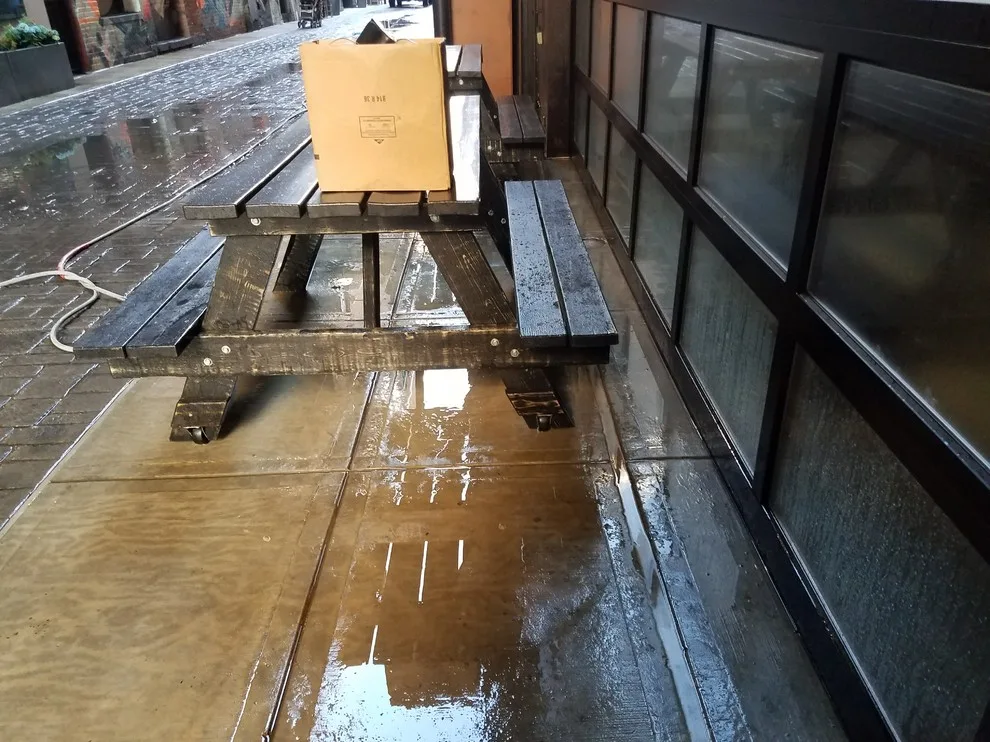 Taint by W.E. Concrete Polishing - Photo 10