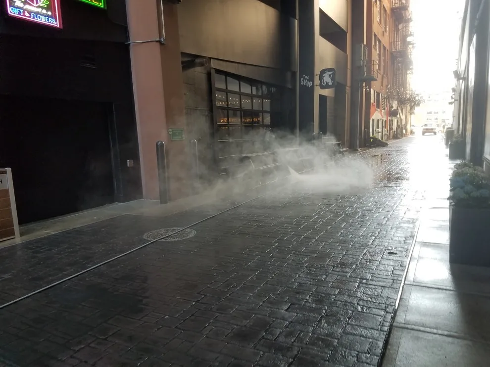 Taint by W.E. Concrete Polishing - Photo 11
