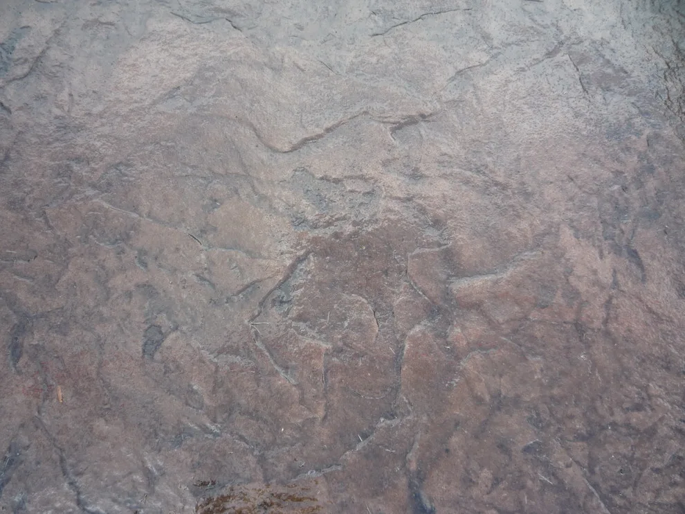 Decorative and Colored Stamped Concrete Driveways by Cipala Decorative Concrete Inc - Photo 22