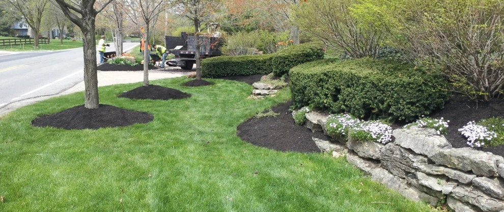 Yard Helpers - Photo 3