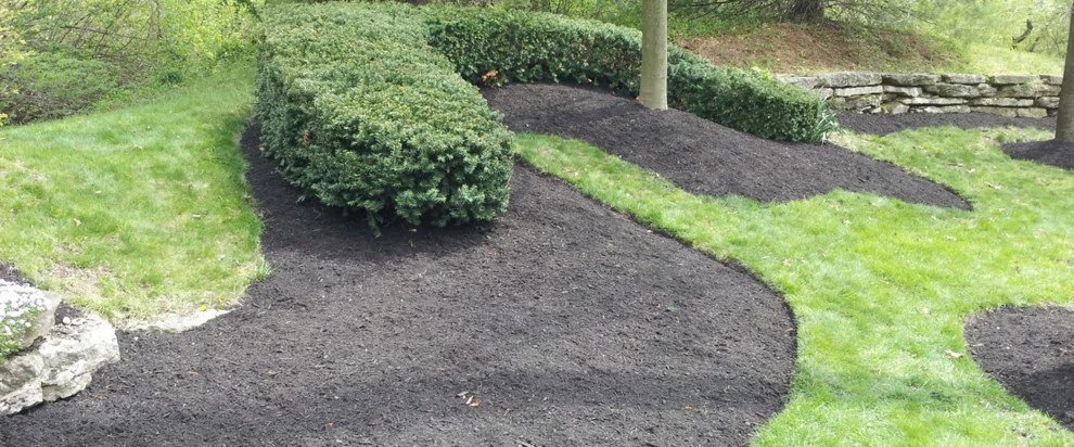 Yard Helpers - Photo 2
