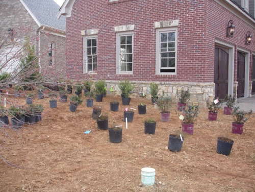 Yardbusters - Photo 9