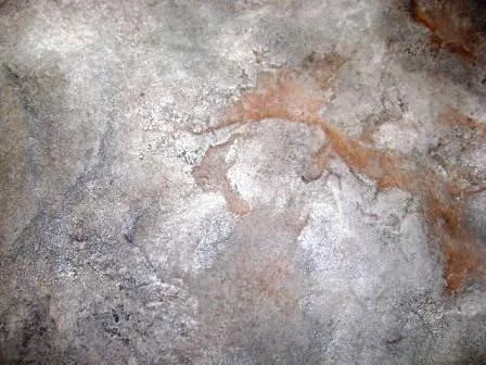Imprinted Stone Concrete Coating by Elite Concrete Design - Photo 3