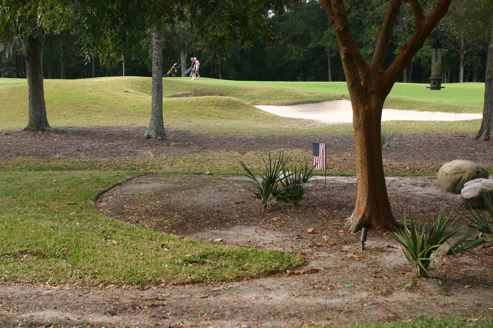 Before and After by YardWorks - Photo 8
