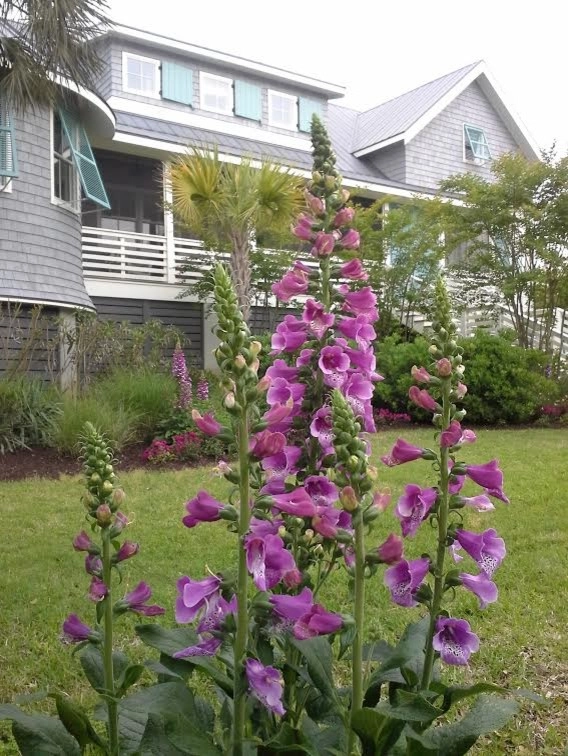 Our Work by YardWorks - Photo 16