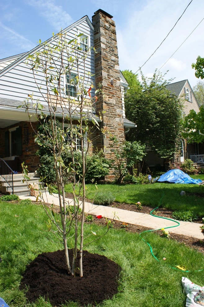 YouBuyWePlant, LLC - Photo 9