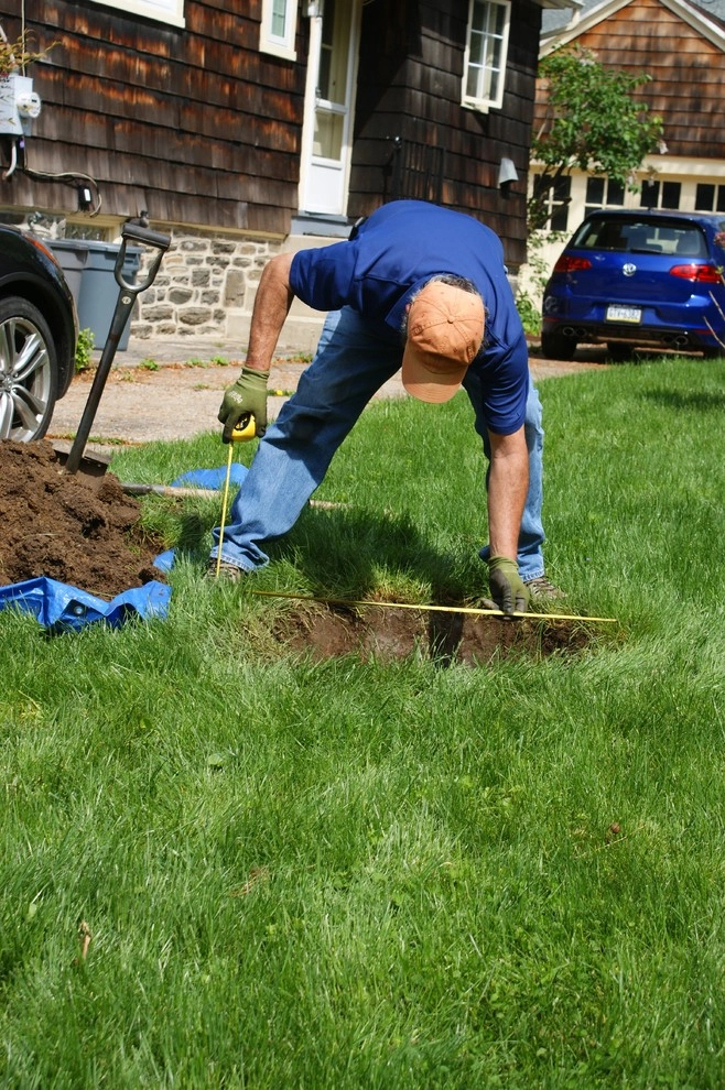 YouBuyWePlant, LLC - Photo 4