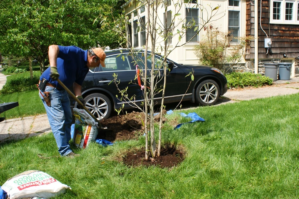 YouBuyWePlant, LLC - Photo 11