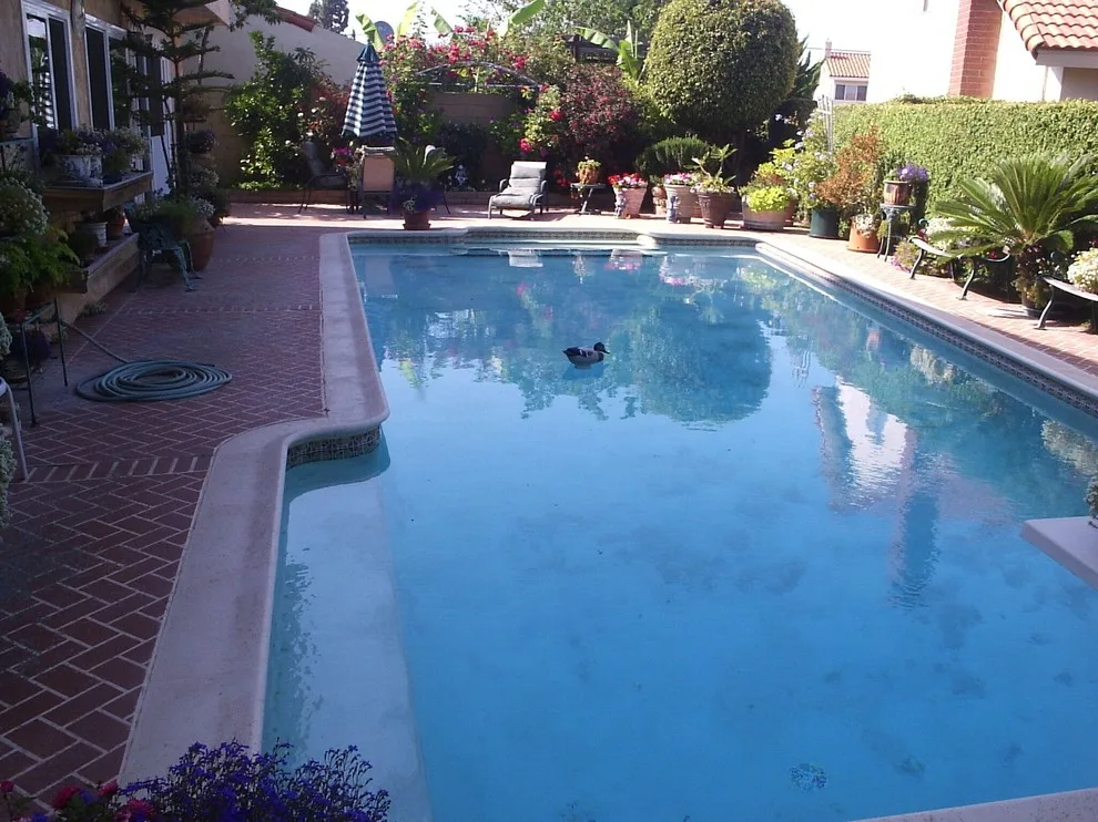 Sym Surfaces for Driveways, Pools, and Patios by Dave Pratt Designs And Consulting - Photo 6