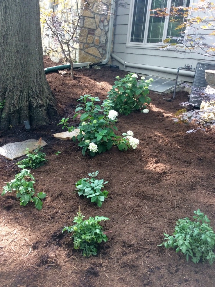 Dry creek bed by Zach's Lawn & Landscaping - Photo 6