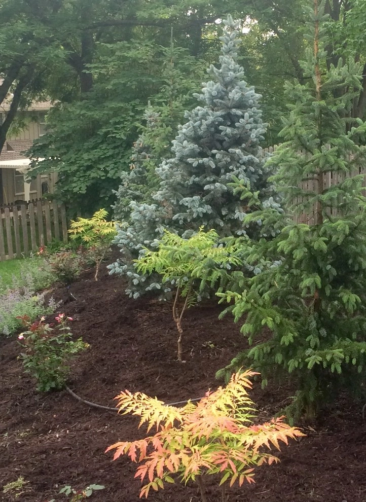 Privacy screen in Shawnee. by Zach's Lawn & Landscaping - Photo 2