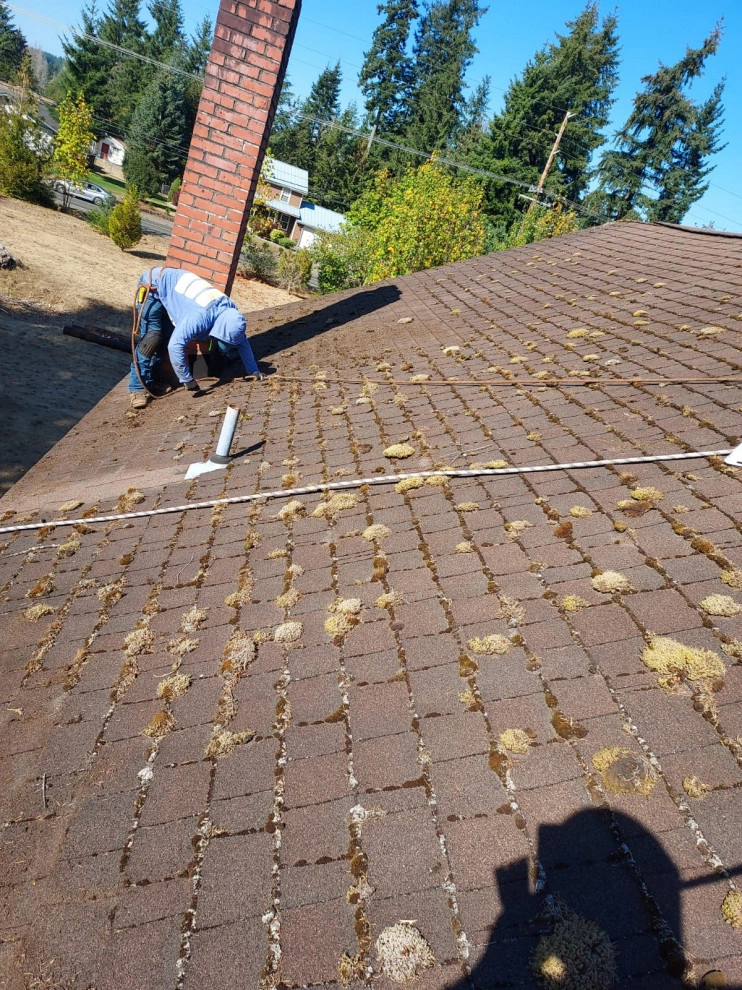 Pablo Landscaping LLC 4 by Pablo Landscaping LLC - Photo 2