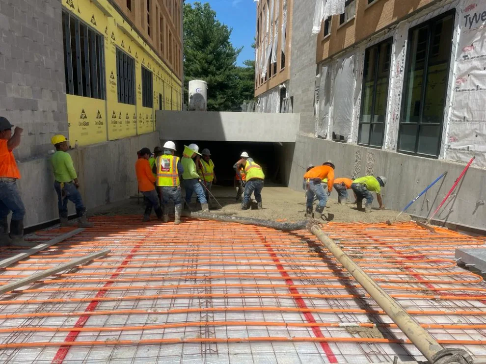 United Tree Professional Services LLC 7 by Cazares Concrete LLC - Photo 2