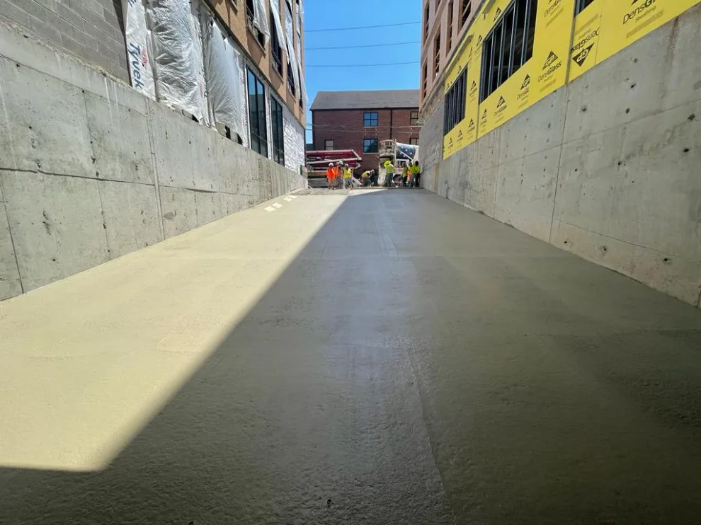 United Tree Professional Services LLC 7 by Cazares Concrete LLC - Photo 4