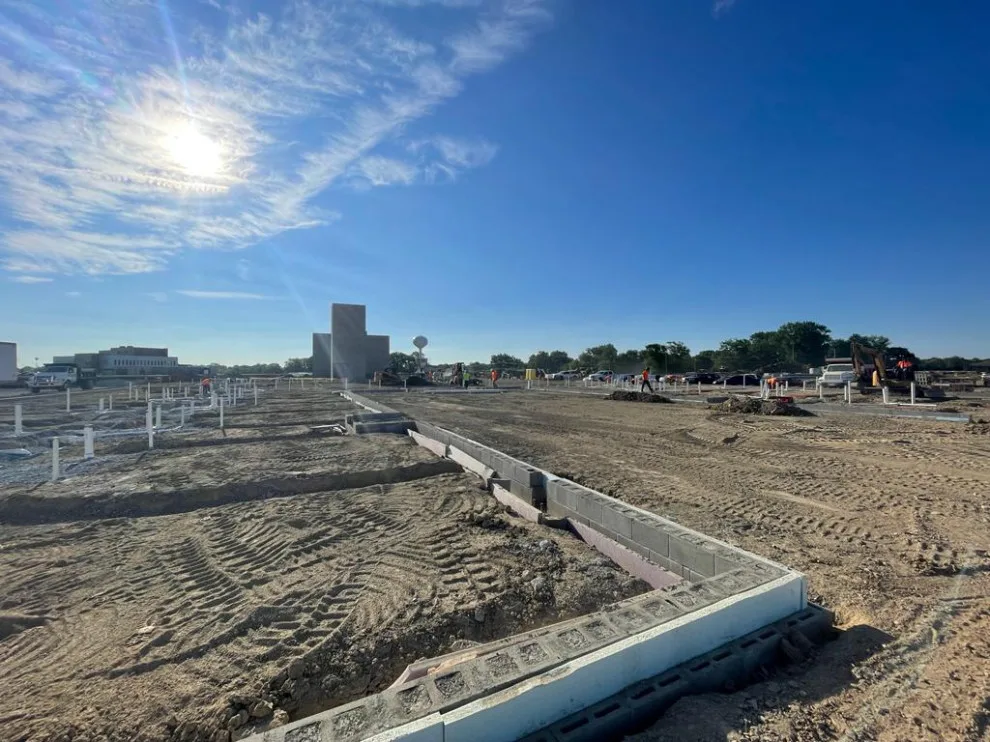 United Tree Professional Services LLC 7 by Cazares Concrete LLC - Photo 8